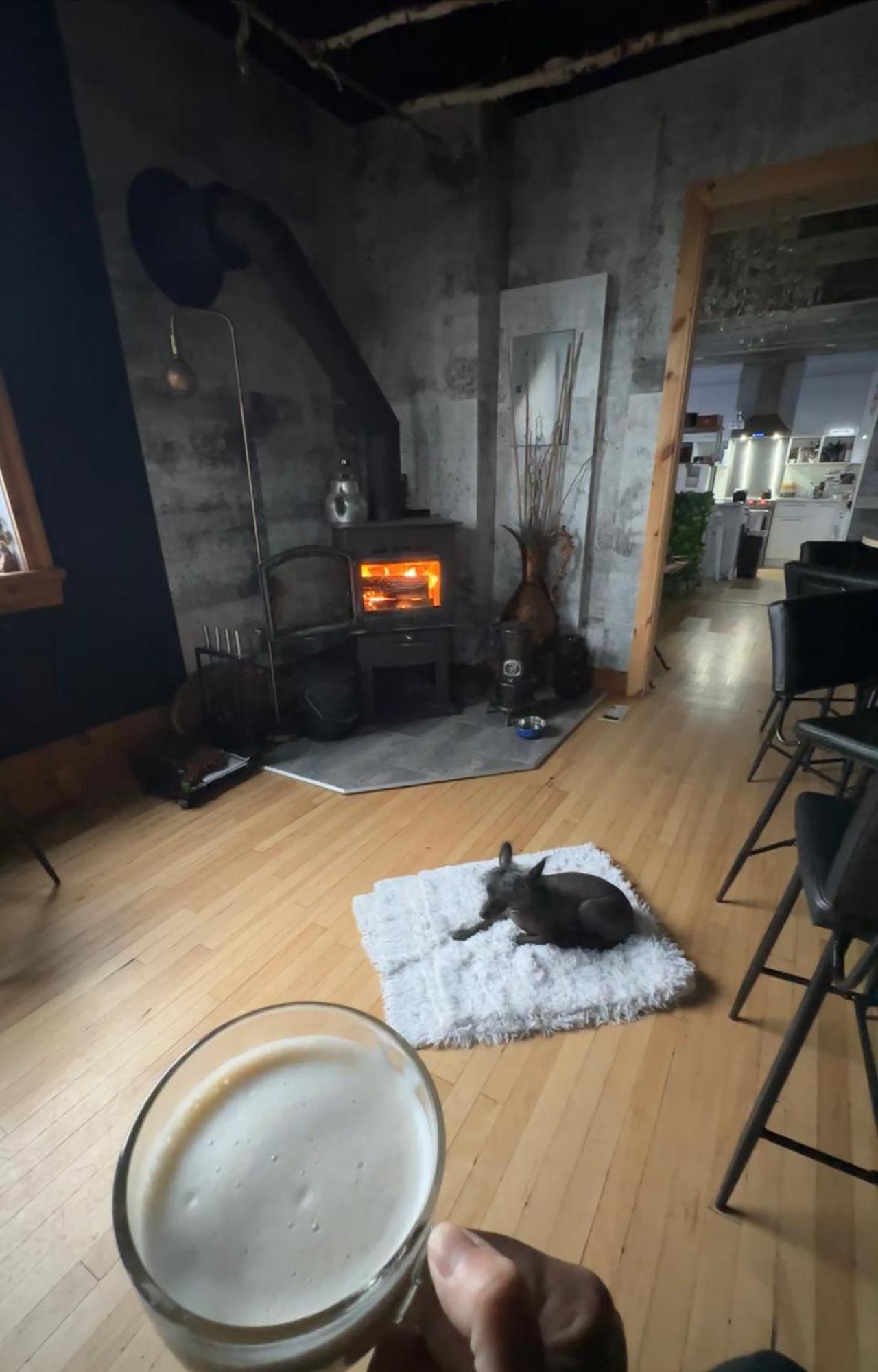 Auberge Et Bistro Namaste Lachute Bagian luar foto